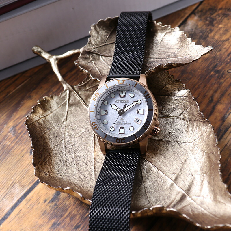 当店限定ベルトセット シチズン 腕時計 CITIZEN 時計 プロマスター
