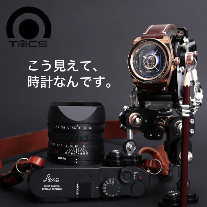 ڿ̸TACS ӻ ܥȥ TS1803 å  ư ȥޥå Bronze Robotoys   ܥå å 