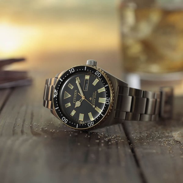 PROMASTER シチズン 腕時計 プロマスター CITIZEN メンズ ブラウン 