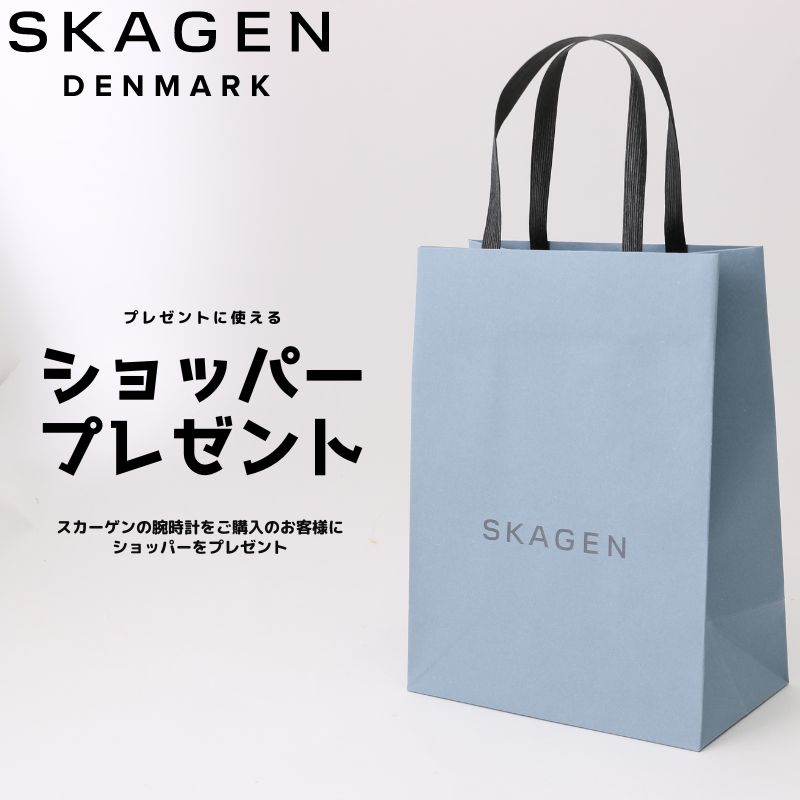 スカーゲン 時計 スカーゲン 腕時計 ライル ソーラー SKAGEN RYLE