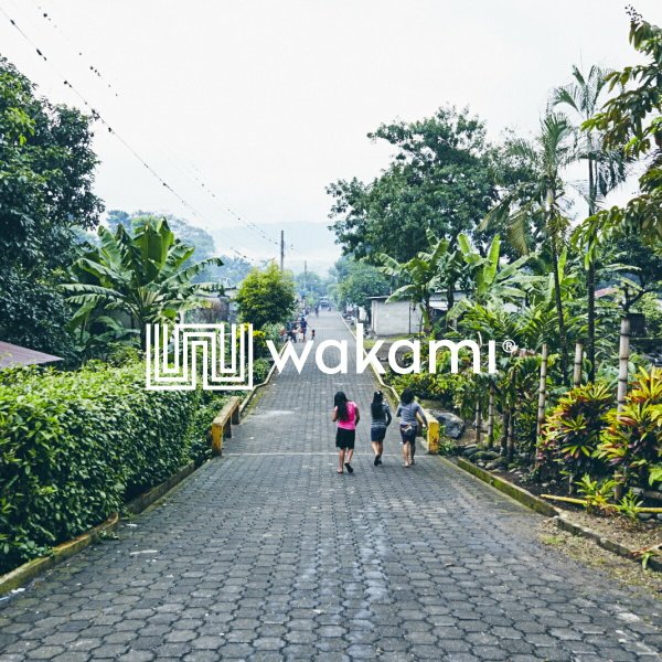 wakami（ワカミ） ブレスレット 2本セット メンズ レディース 2strand