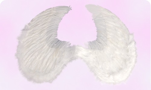 天使の羽（翼）・天使の輪セット : 円網堂 - 通販 - Yahoo!ショッピング