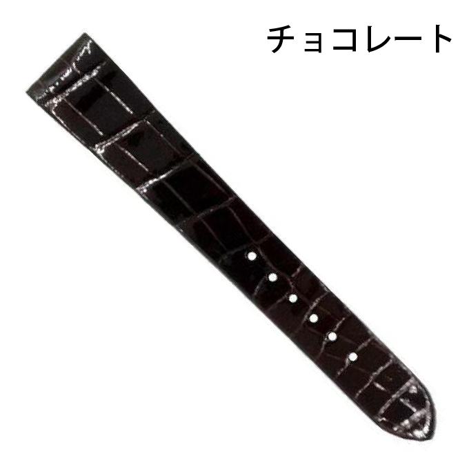 時計ベルト 腕時計ベルト バンド 交換 レディースWatch Wrist Wear