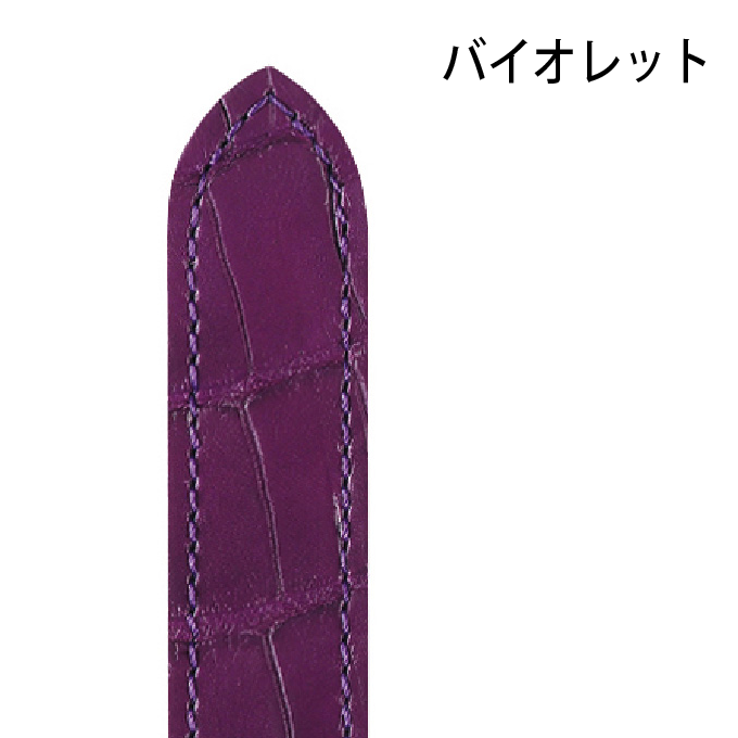 時計ベルト 腕時計用ベルト 時計バンド メンズ 交換 HIRSCH ヒルシュ LONDON mat ロンドン 14mm, 16mm, 17mm, 18mm, 19mm, 20mm, 21mm, 22mm,　hi-04207の画像