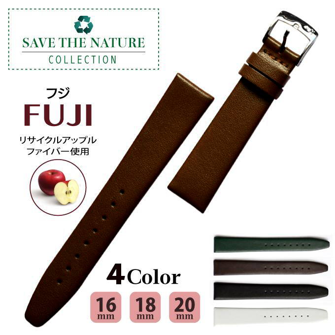 fuji.jpg