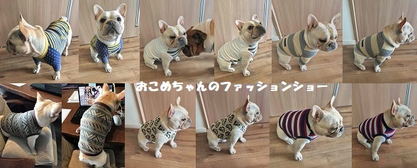 ゆみゆみ※プロフ必読お願いいたします様確認用　フレブル服 フレンチブルドッグ服・MARUCOCCO - Yahoo!ショッピング
