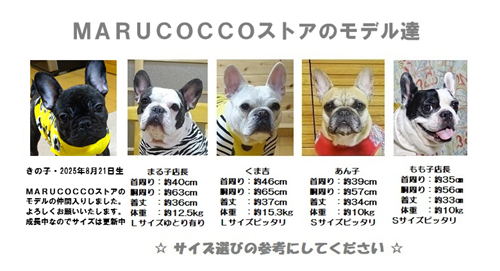10-fs3-open_200-58-1-2.png