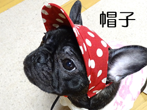 フレンチブルドッグ服・MARUCOCCO - Yahoo!ショッピング