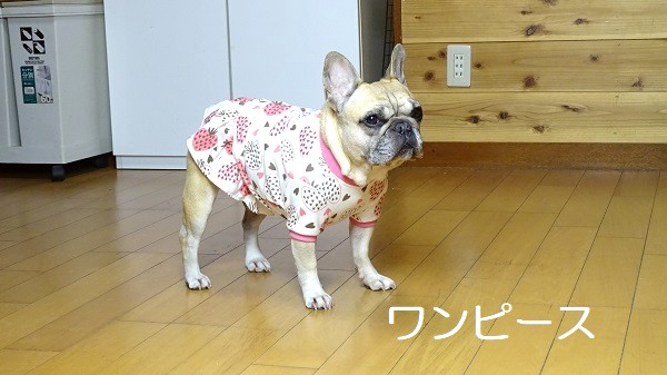 フレンチブルドッグ服・MARUCOCCO - Yahoo!ショッピング