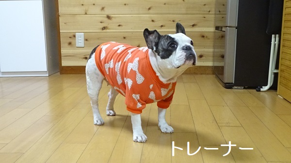 フレンチブルドッグ服・MARUCOCCO - Yahoo!ショッピング