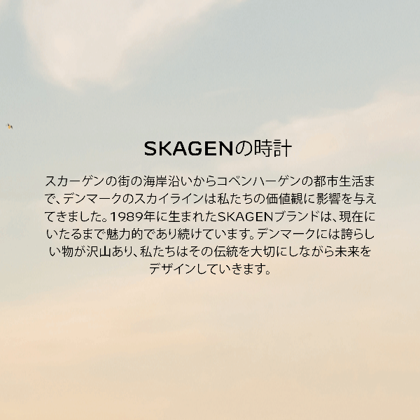 スカーゲン 腕時計 アナログ レディース ローズゴールド ステンレス