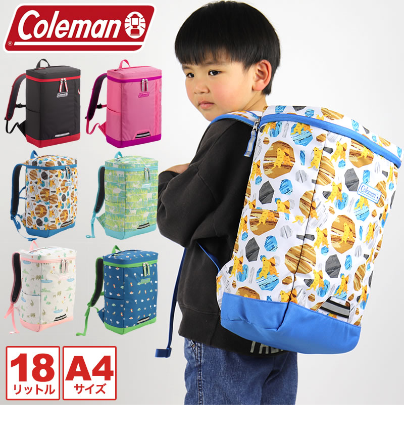 子供用リュックサック XD ザ・ノース・フェイス キッズ ジュニア リュックサック 17L