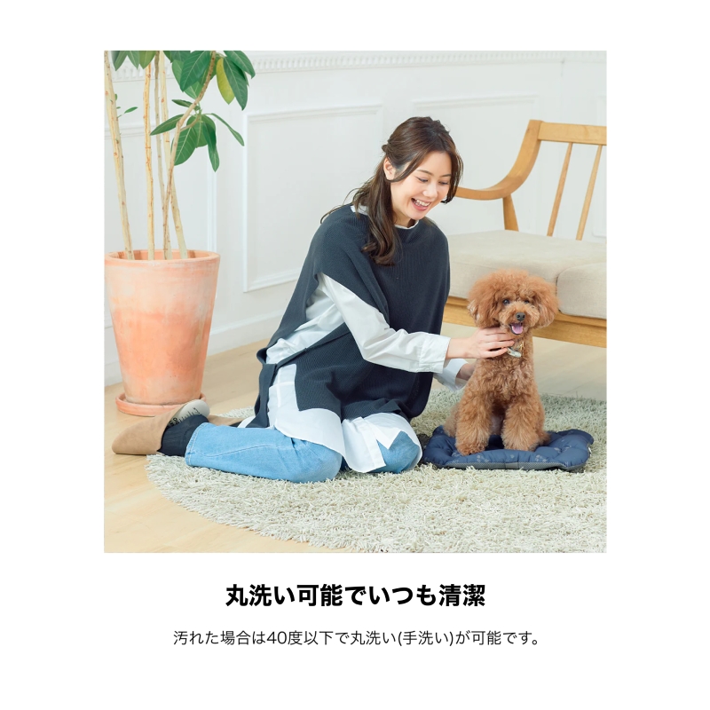 PETiCO ペチコ ペットキャリー用クッション Lサイズ 敷きマット iCOに