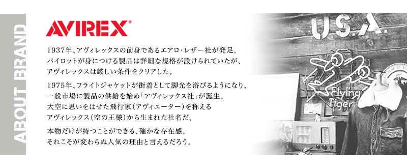 AVIREX 限定モデル TOPGUN3 AVX3528N