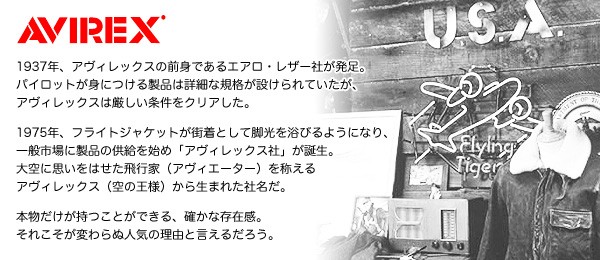 AVIREX ショルダーバッグ AVX341