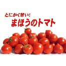 【ミディトマト】まほうのトマト