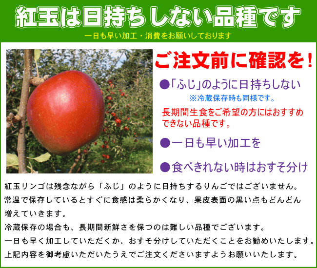 紅玉りんご 約10kg 加工用 訳あり 青森県産 黒ほし 擦り傷 枝傷 押し傷 着色不良 :wakekou10:みちのく処わっつど - 通販 -  Yahoo!ショッピング