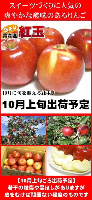 紅玉りんご 約10kg 加工用 訳あり 青森県産 黒ほし 擦り傷 枝傷 押し傷 着色不良 :wakekou10:みちのく処わっつど - 通販 -  Yahoo!ショッピング