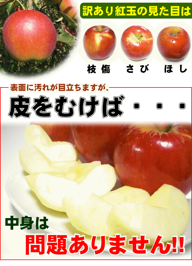 紅玉りんご 約10kg 加工用 訳あり 青森県産 黒ほし 擦り傷 枝傷 押し傷 着色不良 :wakekou10:みちのく処わっつど - 通販 -  Yahoo!ショッピング