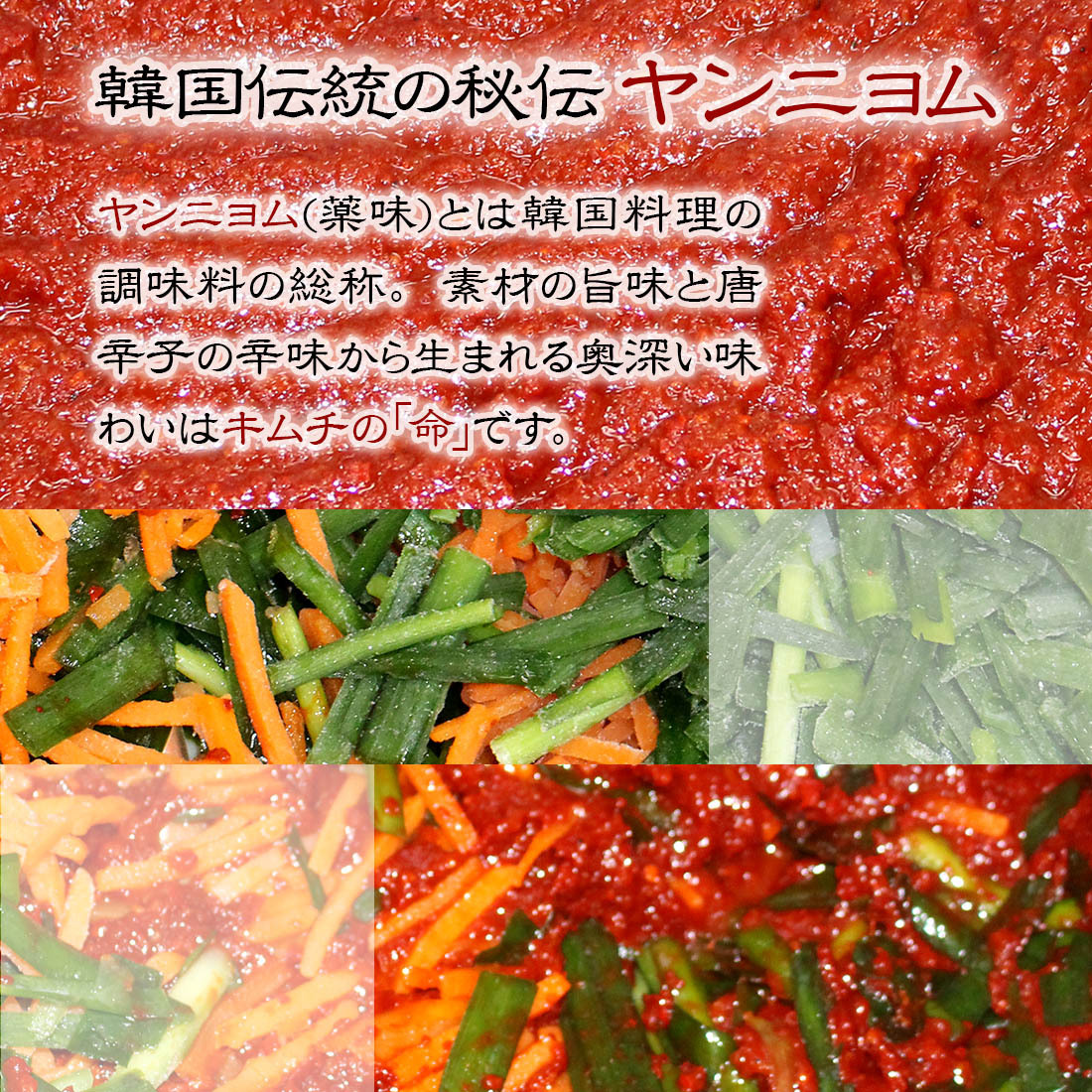 大根キムチ 1kg 本格 キムチ 国産 乳酸菌 発酵 発酵食品 自然発酵 韓国