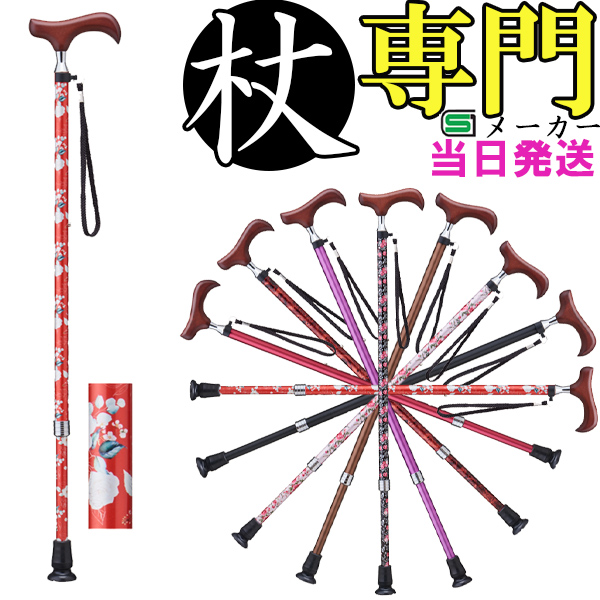  Lk A~ ׂ X   Xgbv E-253A  IV  jp p XebL y v[g Mtg hV