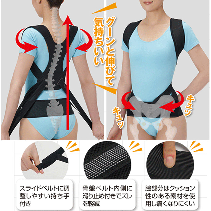 CERVIN 猫背矯正ベルト 姿勢矯正ベルト 日本製 国産 骨盤ベルト