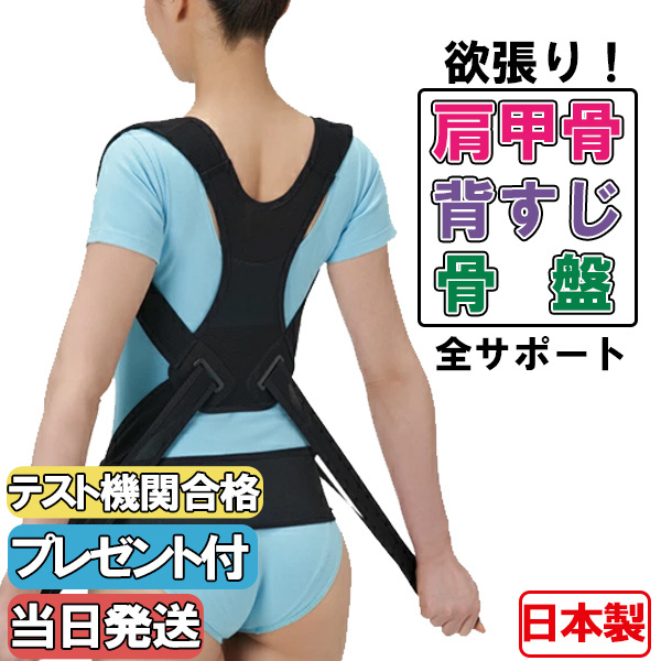 CERVIN 猫背矯正ベルト 姿勢矯正ベルト 日本製 国産 骨盤ベルト