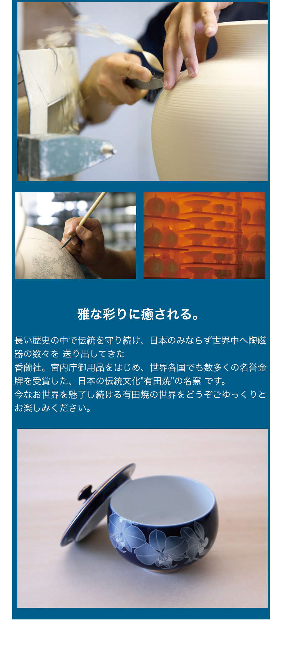 香蘭社 ルリ胡蝶蘭茶器揃 有田焼 日本製 おしゃれ 内祝い 食器 結婚祝