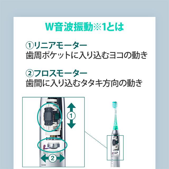 Doltz 【パナソニック正規品】【在庫有】ドルツプレミアム W音波振動
