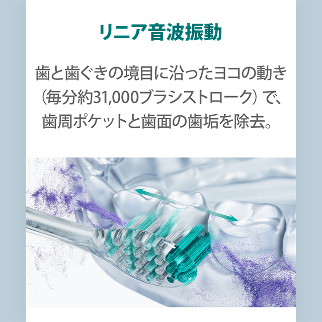 Doltz ドルツプレミアム W音波振動ハブラシ 電動歯ブラシ panasonic