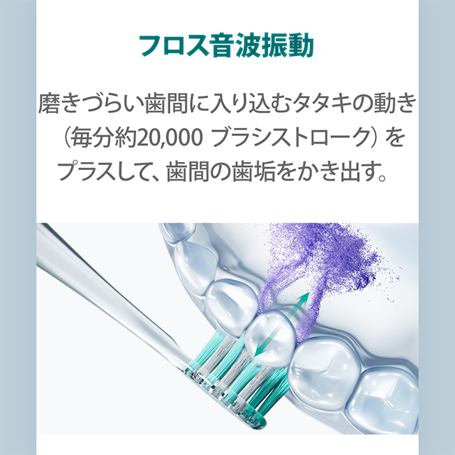 パナソニック正規品】ドルツプレミアム W音波振動ハブラシ 電動