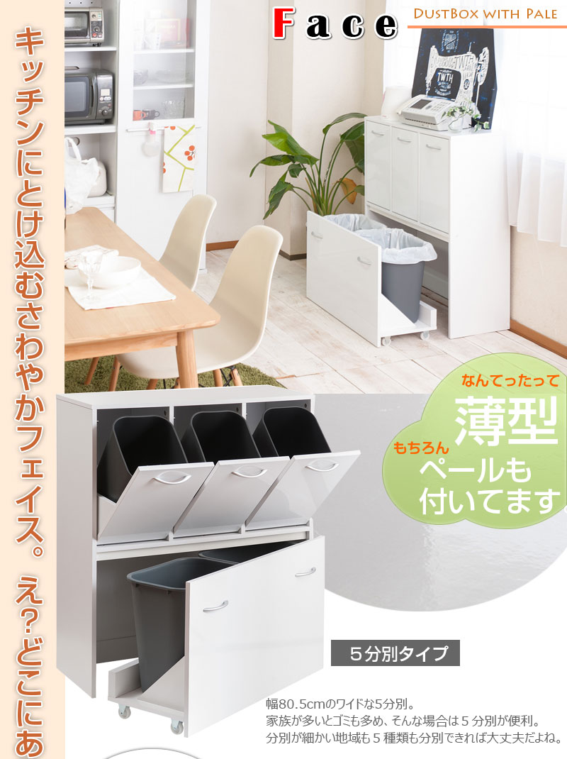 WHYTO キッチンシリーズface ダストボックス 5分別 ゴミ箱