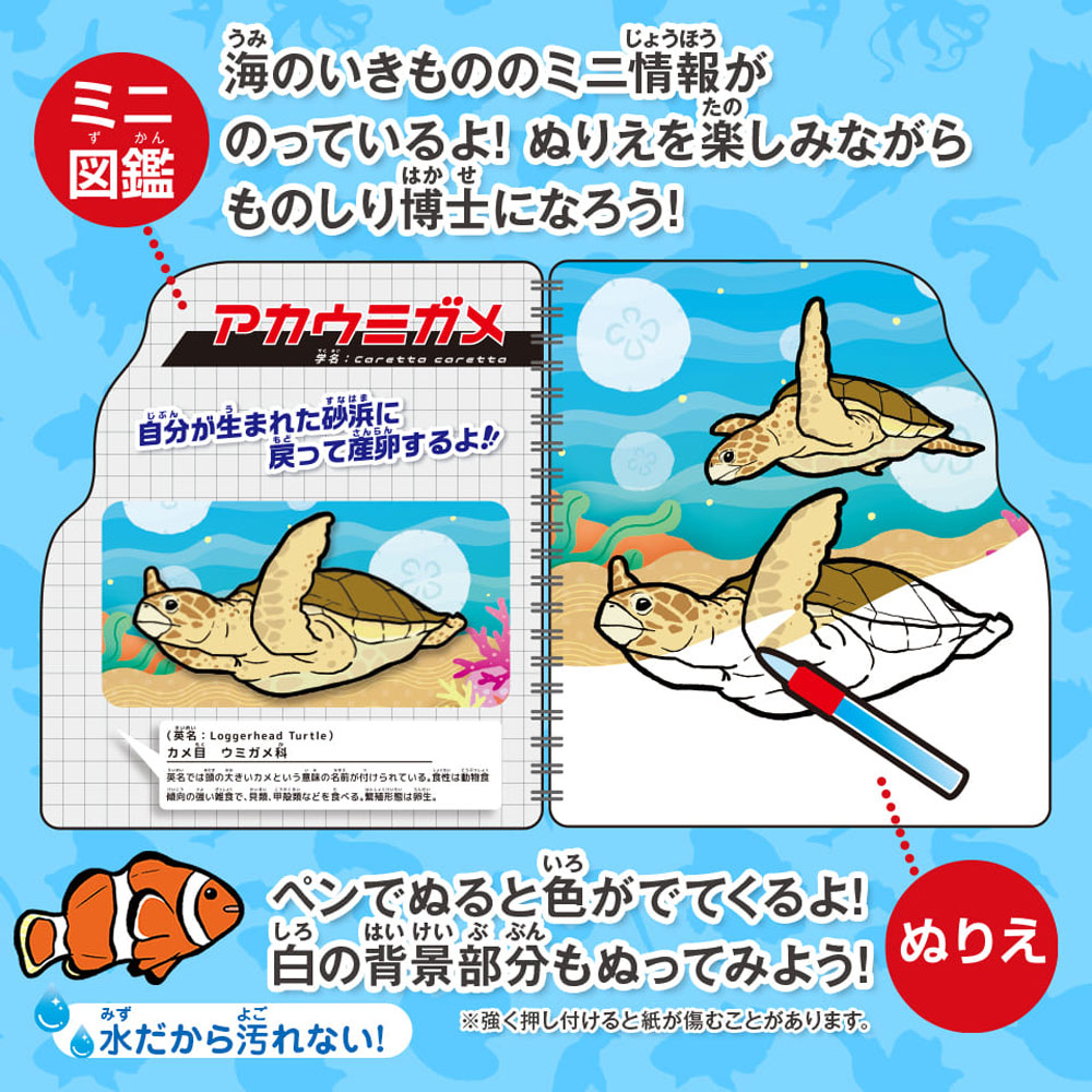 まとめ得 水ぬりえ 海のいきもの図鑑 1セット x [7個] /k |  | 03