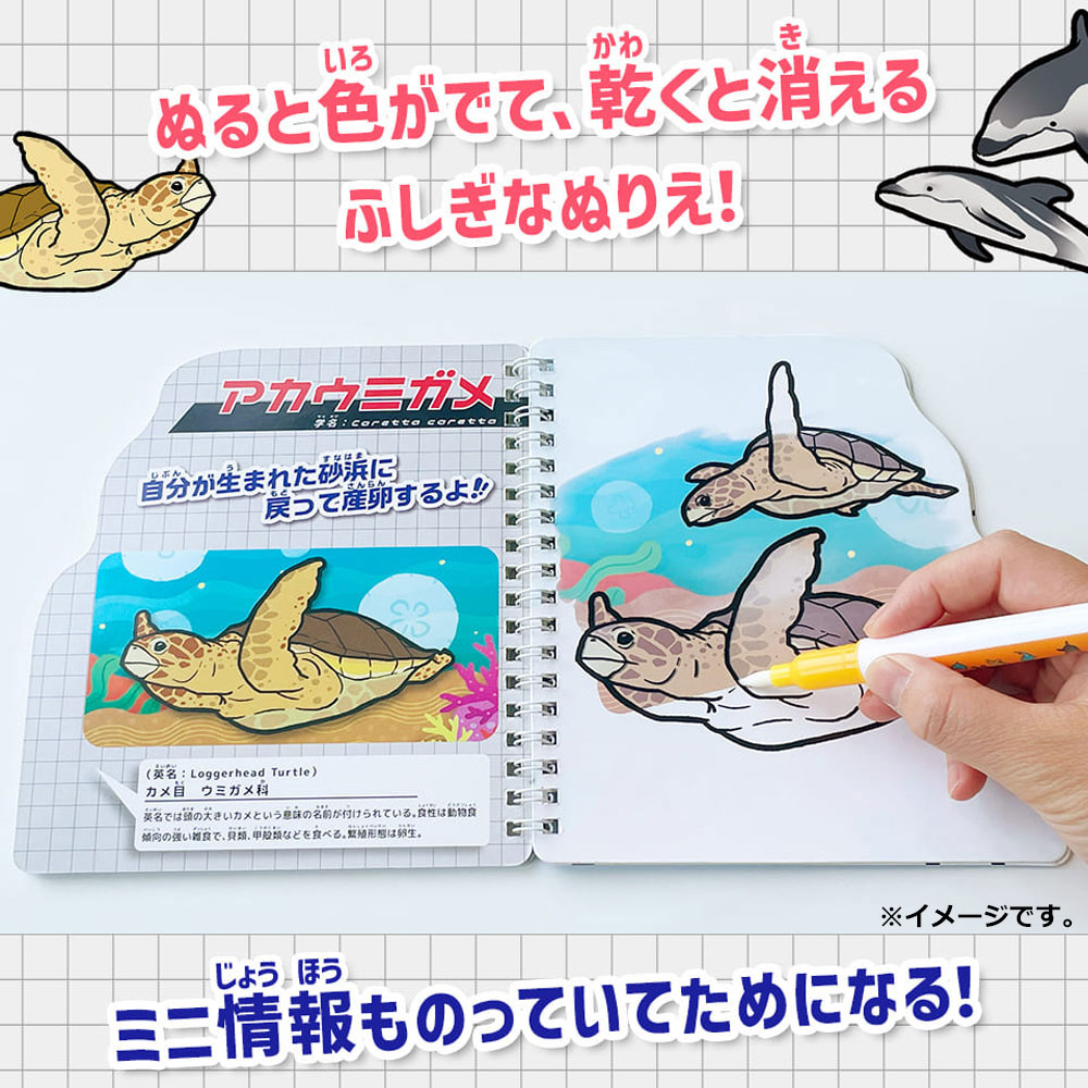まとめ得 水ぬりえ 海のいきもの図鑑 1セット x [7個] /k |  | 05