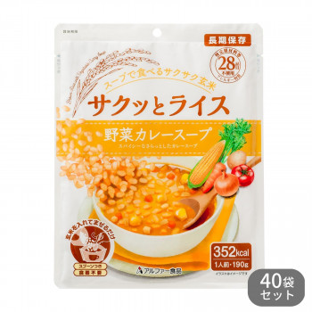 11421638 アルファー食品 サクッとライス 野菜カレースープ 190g ×40袋セット /a :a1 1722057:WEB TWOHAN in