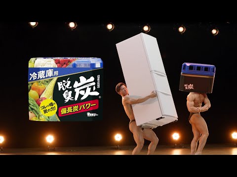 まとめ得 脱臭炭　冷蔵庫用　大型強力タイプ　２４０ｇ x [15個] /k｜web-twohan｜03