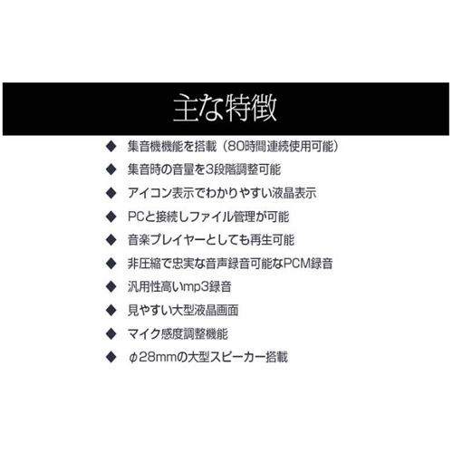 ベセトジャパン ICレコーダー VR-240AMP /l｜web-twohan｜02