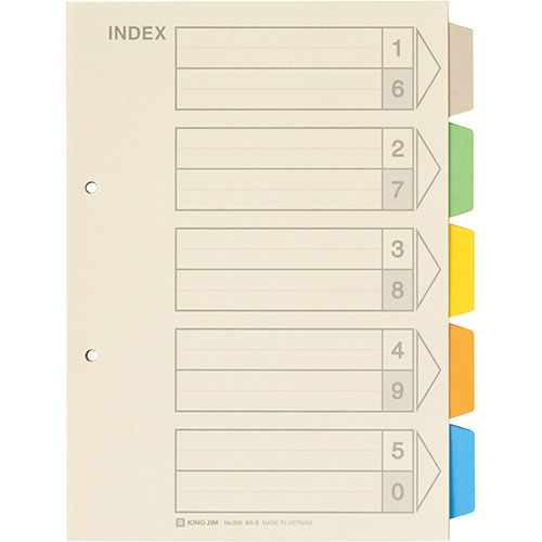 【10個セット】 KING JIM キングジム カラーインデックス KJ-905X10 /l