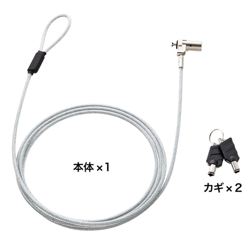 サンワサプライ 超小型シリンダセキュリティ eセキュリティ カギNo.1 SLE-25S-1 /l