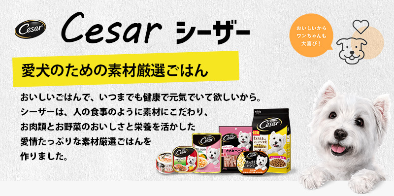 シーザー 自然素材レシピ 平飼いチキン＆さつまいも・いんげん 85g