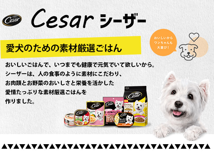 シーザー 自然素材レシピ 平飼いチキン＆さつまいも・いんげん 85g