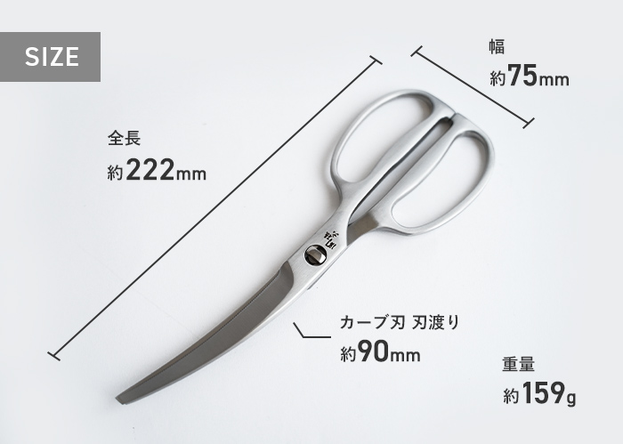 ポスト投函 貝印 関孫六 鍛造オールステンレス カーブキッチン ポスト投函 貝印 関孫六 鍛造オールステンレス カーブキッチン