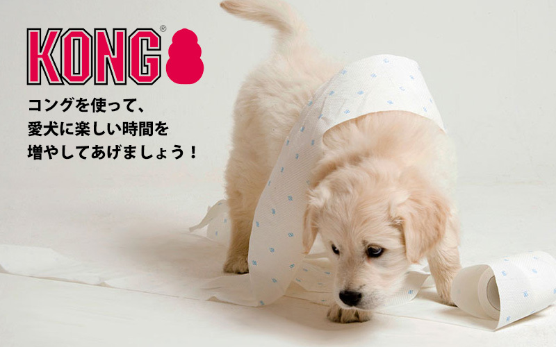 コングジャパン KONG コング S 74601 犬用 おもちゃ 知恵玩具 運動不足