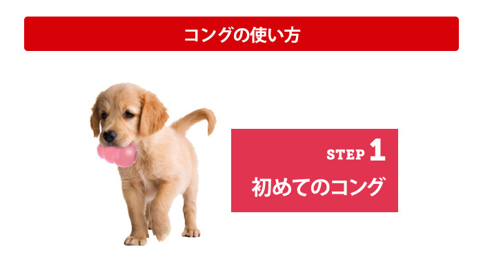 輝い 犬のおもちゃ コングジャパン コングs 48 1個当たり559円 健康維持 運動不足 ゴム製 ペット Fucoa Cl