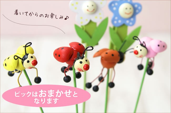 ピックはおまかせとなります