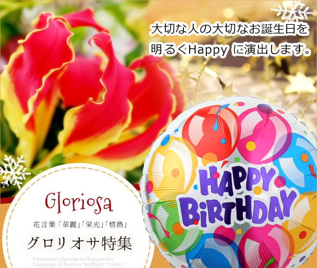 翌日配達 お花屋さん 12月の誕生花 誕生花 Yahoo ショッピング