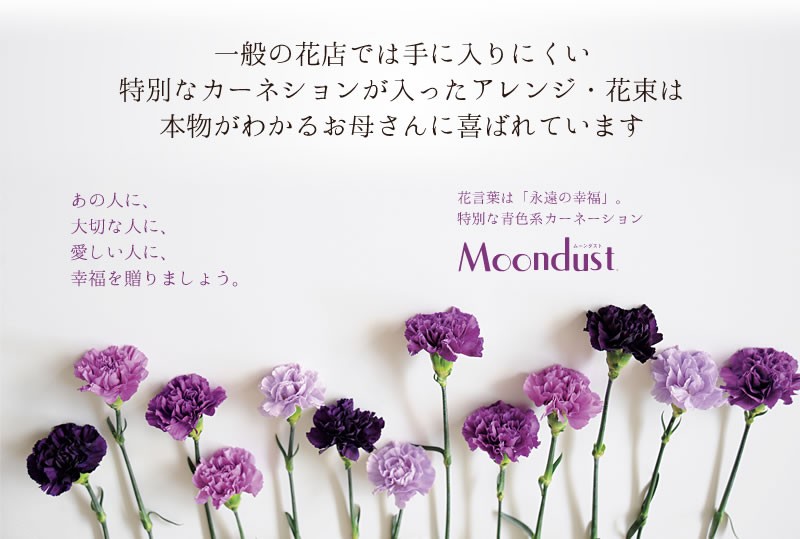 ムーンダスト説明