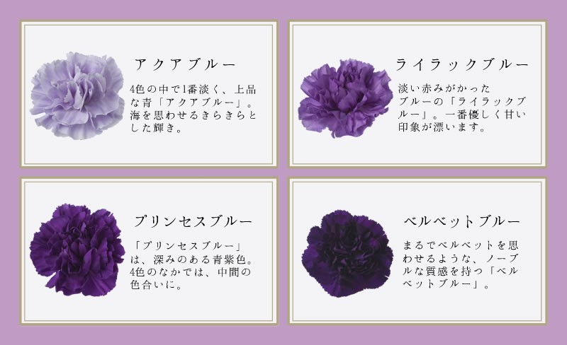 ムーンダスト説明