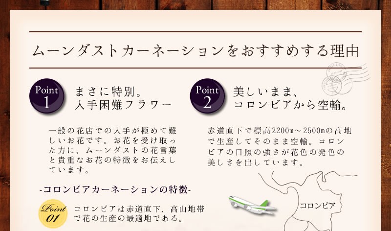 ムーンダスト説明