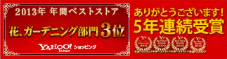 ベストストア